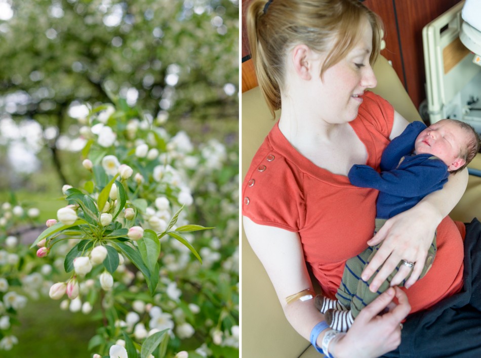 saginaw newborn photographer - logan -02