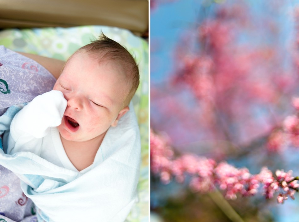 saginaw newborn photographer - zoey - 08